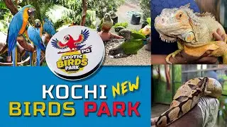 PQ Exotic Birds Park