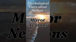 Mirror Neurons 💯🔗        #facts #human #psychologyfacts #newvideo #newshorts