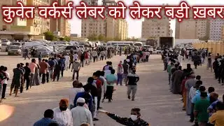 Kuwait workers news,kuwait Labour Market news