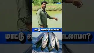 எடுத்தோம் கவுத்தோம்னு பண்ணாதிங்க! | ANJV MEDIA | FISHING VIDEO| FISHER MAN| #fish @anjvmediatamil