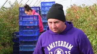 Castleton Fruit Ltd - Recruitment (Bulgarian)