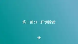 Liver Resection | Chinese