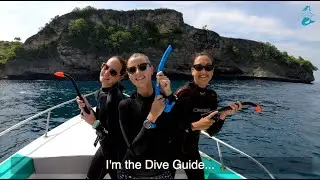 Dive Guide - (Billie Eilish - Bad Guy parody)