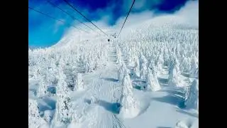 2024-02 蔵王樹氷