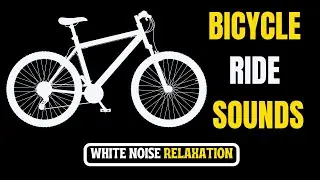 Bicycle Ride Sounds🎧 Bicycle Wheel Spinning Sound🎧 ASMR Ambient Sounds😴 (5 Hours)