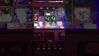 Kitty glitters Max bet Slots jackpot, diamond Cat bonus in Normandy France