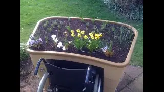 Green Circle Accessible Garden in action
