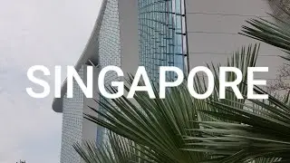Shapes of Singapore