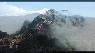 RELAXING MUSIC | NATURE | BIRD