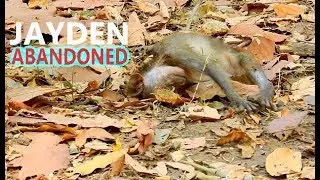 JADE ABANDONED POOR JAYDEN !! VERY IMPORTANT POOR JAYDEN NEEDS MUM STAY CLOSE. COME BACK MUM