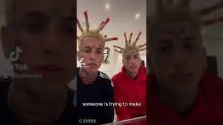 ISLANDBOYS TALK ABOUT SANTA INU
