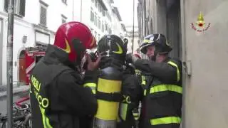 Gatto salvato e rianimato dai Vigili del Fuoco