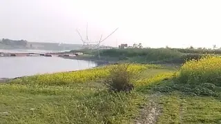 আজকে যমুনার পাড়ে পড়ন্ত বিকেলে