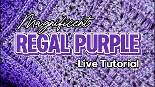 Regal Purple Afghan Pt. 1 (Live Replay)