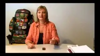 No Time? No Money? By Wisconsin / Arizona Motivational Speaker Traci Bogan