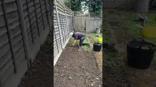 This is what happens when u don&rsquo;t pay ! #gardening #maintenance #garden #gardeningtips