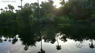 The sun breaking through the trees early morning on the BEAUTIFUL Tomoka River. Absolutely Gorgeous!