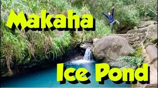Makaha Ice Pond & Kane'aki Heiau Hiking HAWAII - ハイキングハワイ
