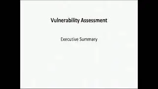 Vulnerability Assessment - Executive Summary Report Template