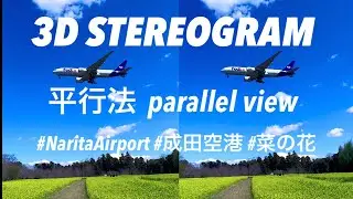 STEREOGRAM (Parallel View 3D VR) | 平行法☆ステレオグラム | P33 STEREOSCOPIC