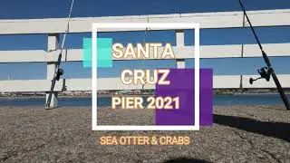 SANTA CRUZ 