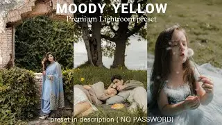 Moody yellow 🟡 preset Lightroom || premium Lightroom preset || #lightroom