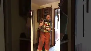 surprise gift🥰💝🩷 #pet #cat #dog #cute #animals #foryou #type