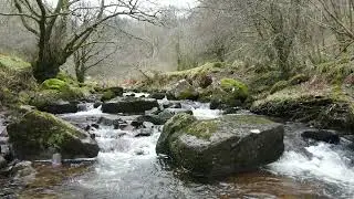 Psychosynthesis meta-disidetification meditation
