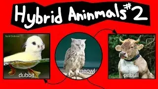 Internet Names for Hybrid Animals (Pt. 2)