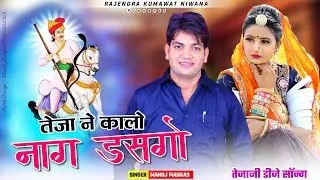 तेजा ने कालो नाग डसगो || Teja Ne Kalo Dasgo | Veer Tejaji New Song 2024 | Rajasthani Dj Song |Niwana