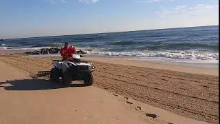 Beach Grooming
