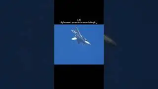J-20 flight control system