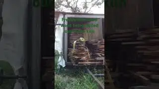 Using my Mahindra tractor to pull stacks of freshly vacuum kiln dried lumber out of my iDry kiln.