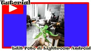 Tutorial Edit Foto Street Activity di Adobe Lightroom Android