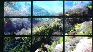 3x3 Video Wall