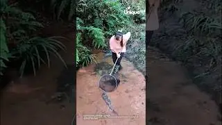 Unexpected fish catch in muddy waters