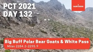 Day 132: Big Buff Polar Bear Goats & White Pass PCT 2021 Vlog
