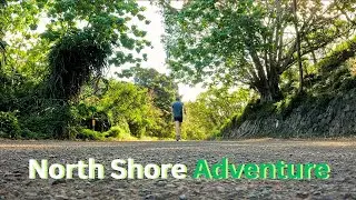 I Stepped on a Sea Urchin - Daily Vlog #23