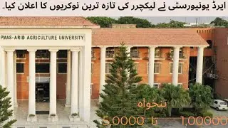 Job for Assistant Professor | University Lecturer jobs| Lecturer jobs in Pakistan| Job Alerts