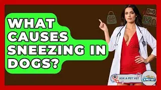 What Causes Sneezing In Dogs? - Ask A Pet Vet