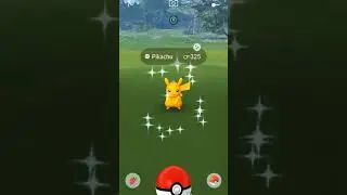 Day 1 : Global Go Fest Shiny Complication in Pokemon Go #shorts #pokemongo #gofest