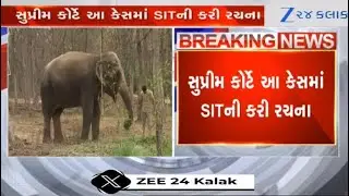 Supreme Court constitutes SIT to investigate Reliance-owned Vantara, how it acquires animals