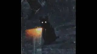 signs (slow)