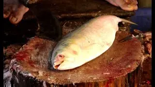 Fillet Hilsa Fish in Bangladesh fish Market | Natural Fish Processing