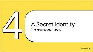 The Pancreas: Hacking Your Body's Sugar Code