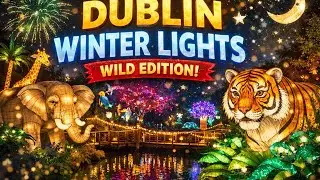 Enjoy Dublin&rsquo;s Winter Lights ✨🐾 | Dublin Zoo Wild Edition