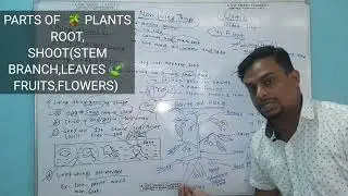 BS1(LIVING/NON-LIVING THINGS,PLANT LIFE AND TEST PAPER)