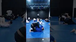 2026 season🥷 #bjj #combatsport #qld