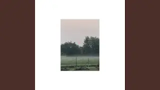 Can You Feel The Sun