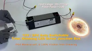 Triac Dimming LED Driver Junction Box: 12V/24V Auto Switchable & 100-277Vac Input